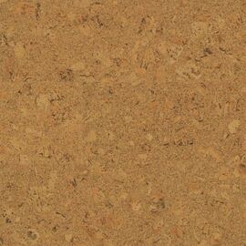 Клейова коркова підлога Amorim Wise Cork Pure Shell Natural