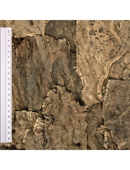 кора Exotic Horta внутренняя - Бренд - Wicanders, Португалия, фото 2